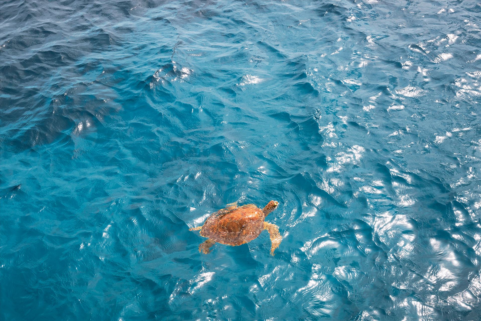 St. Croix Adventure of the Seas_10202025_0525.jpg  by Terry Kelly Photography