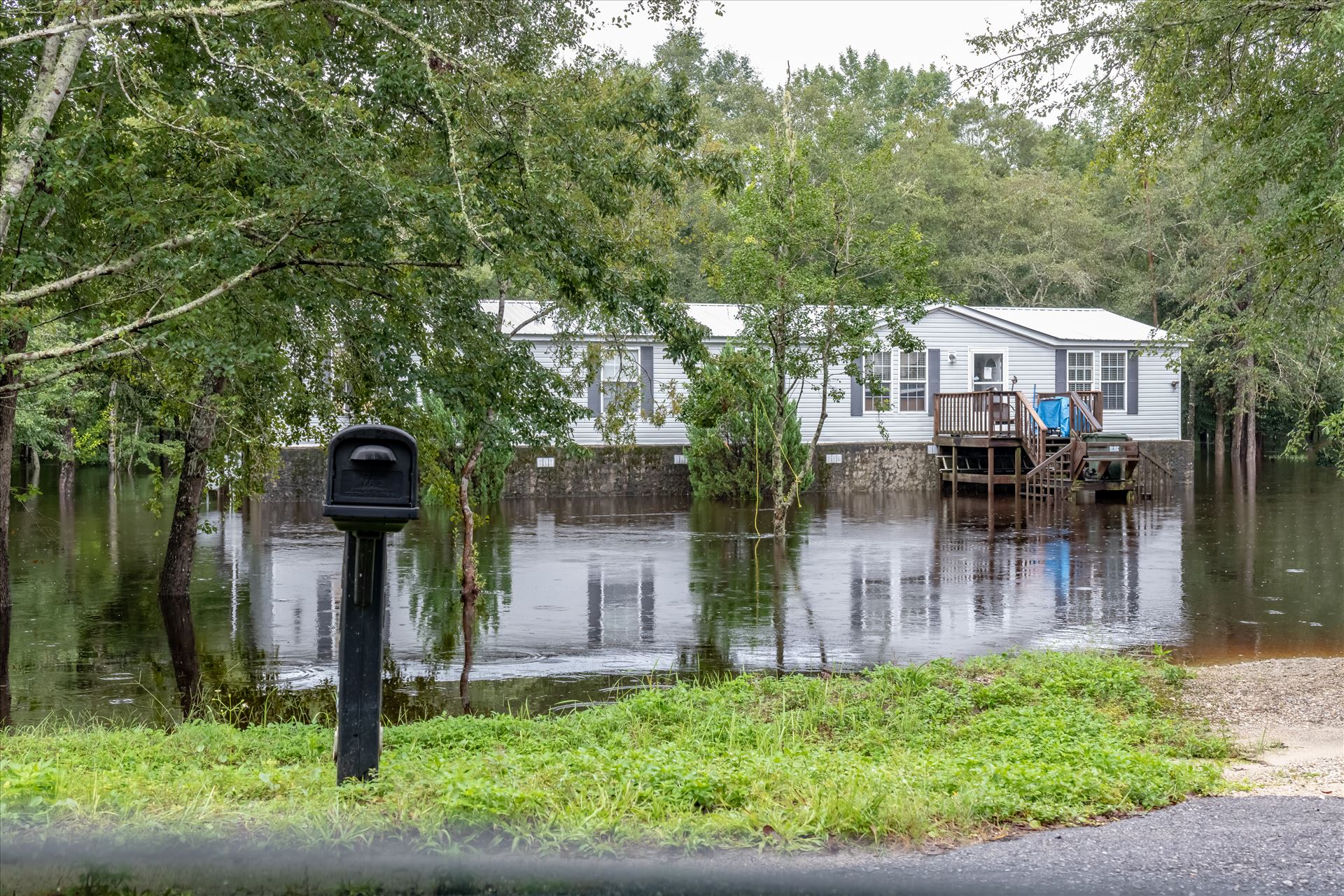 bear creek out of bank 7 August 02, 2018.jpg August 02, 2018 heavy rains flooded many parts of Bay County, Florida. This photo is in the Bear Creek area. by Terry Kelly Photography