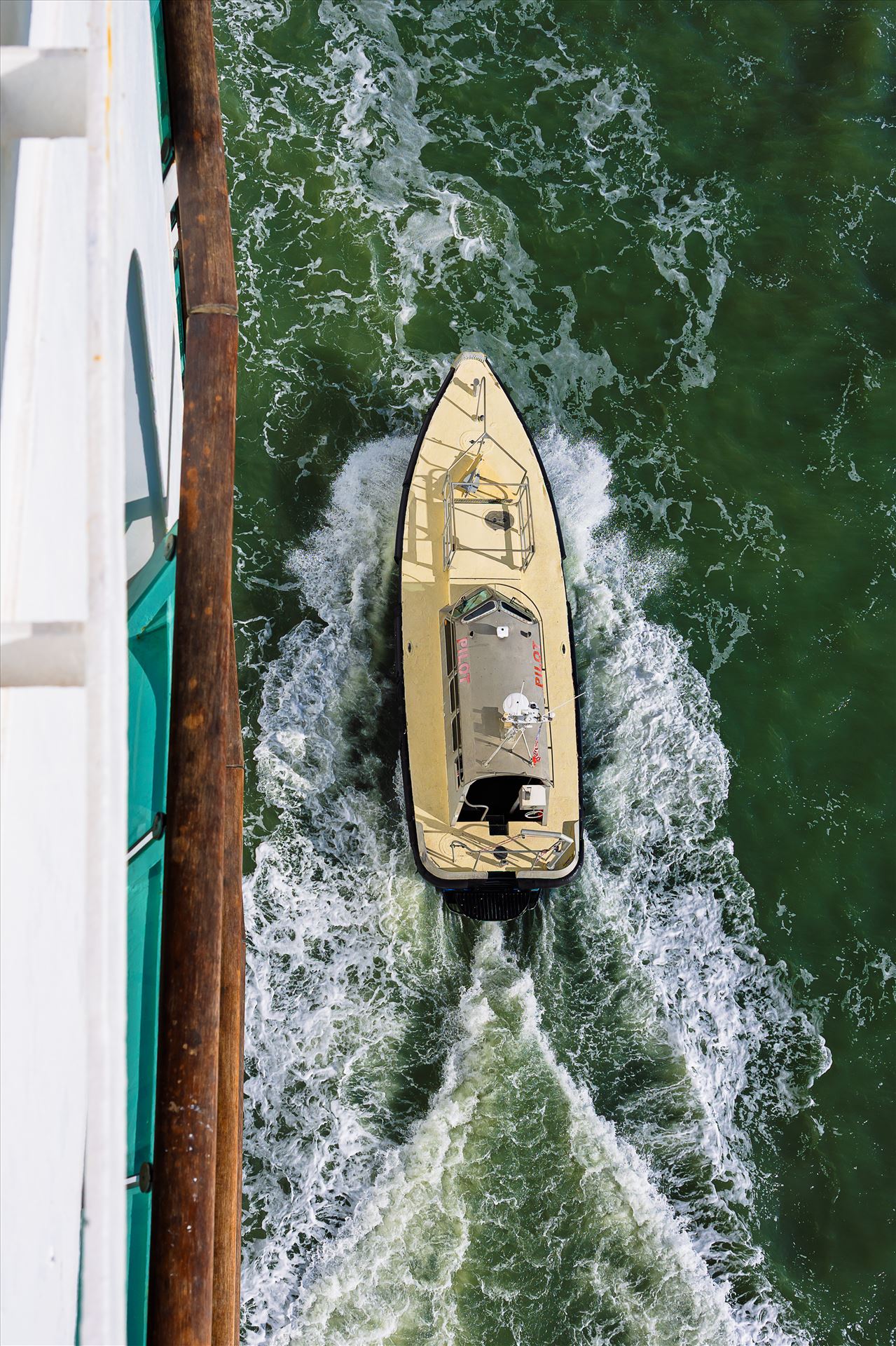 Pilot boat adventure of the seas_0135.jpg  by Terry Kelly Photography