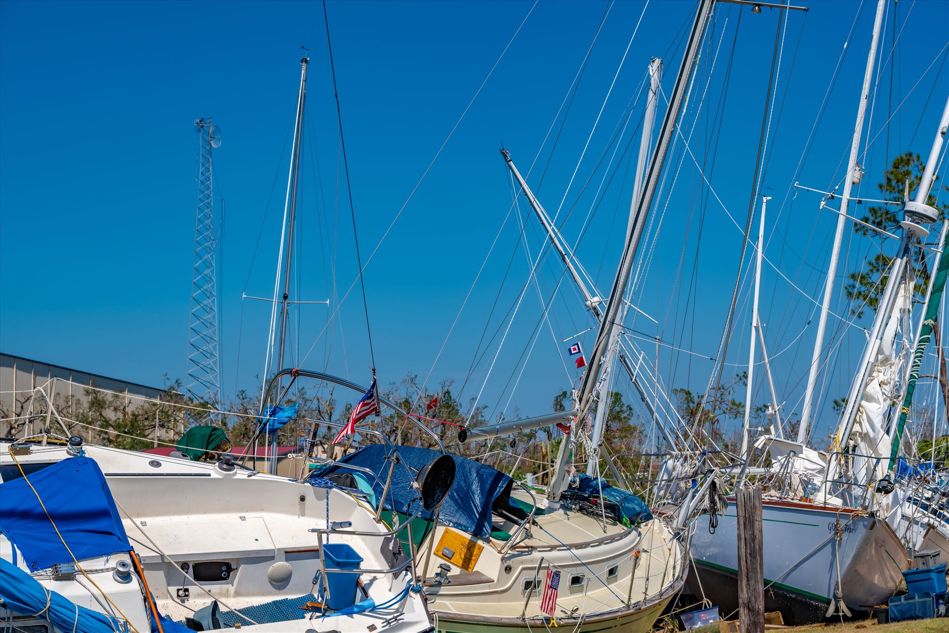 hurricane michael watson bayou panama city florida-8503356.jpg  by Terry Kelly Photography