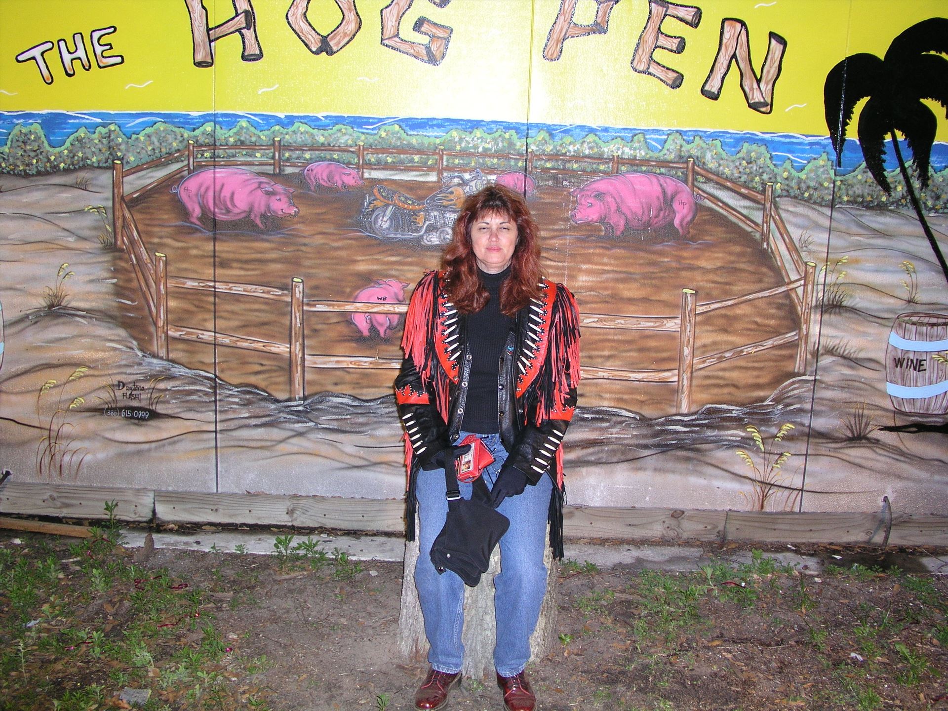 OLYMPUS DIGITAL CAMERA          OLYMPUS DIGITAL CAMERA          by Terry Kelly Photography