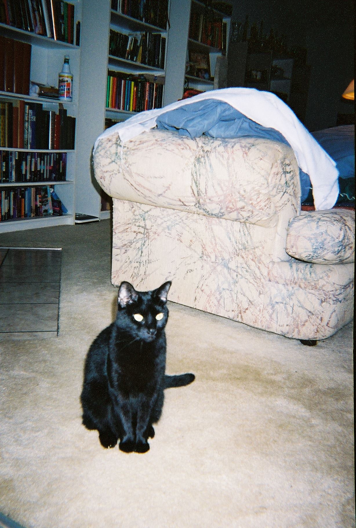 967703-R1-1A.jpg  by Terry Kelly Photography