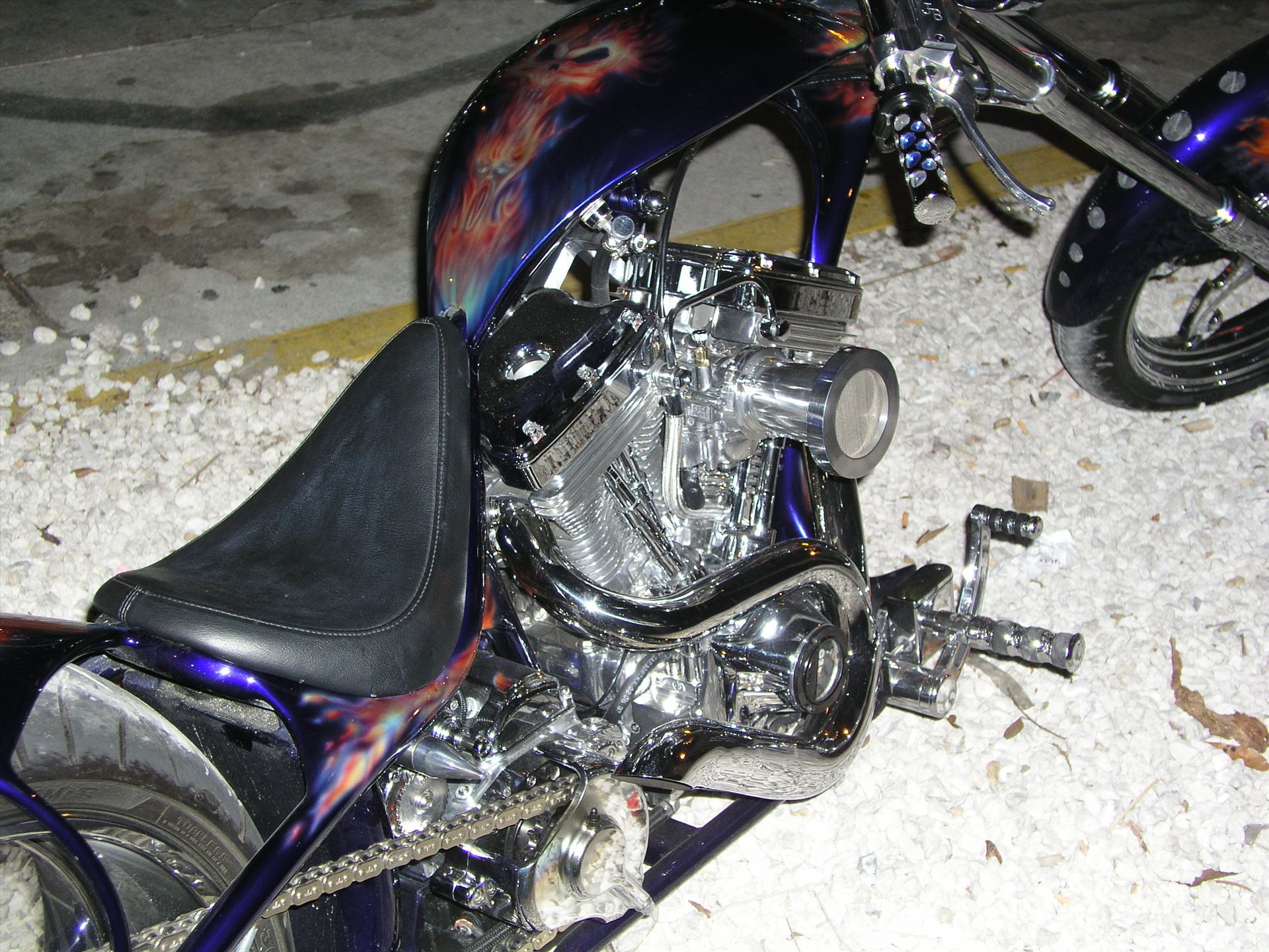 OLYMPUS DIGITAL CAMERA          OLYMPUS DIGITAL CAMERA          by Terry Kelly Photography