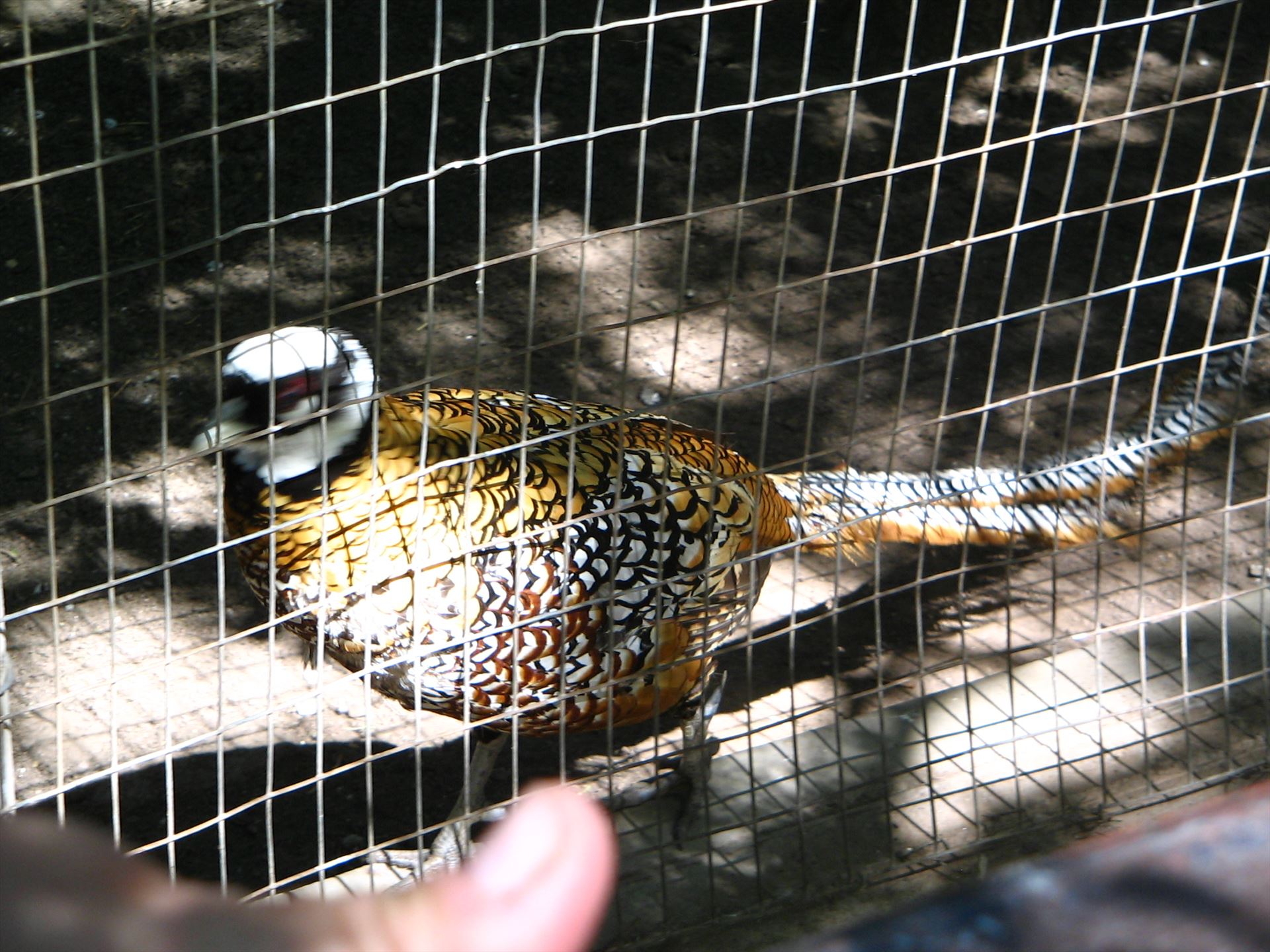 3-28-06 077.jpg  by Terry Kelly Photography