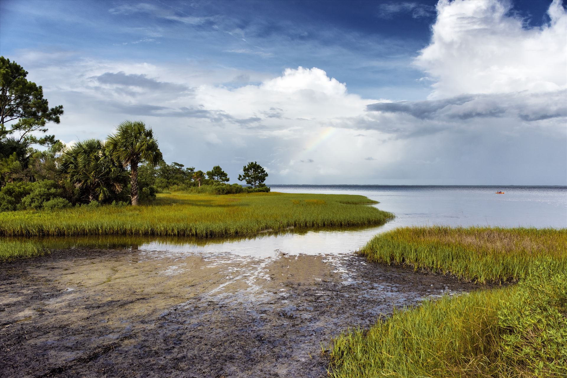 rainbow kayak storm clouds palm tree st. joe bay florida ss sf al  RAW_5137.jpg  by Terry Kelly Photography