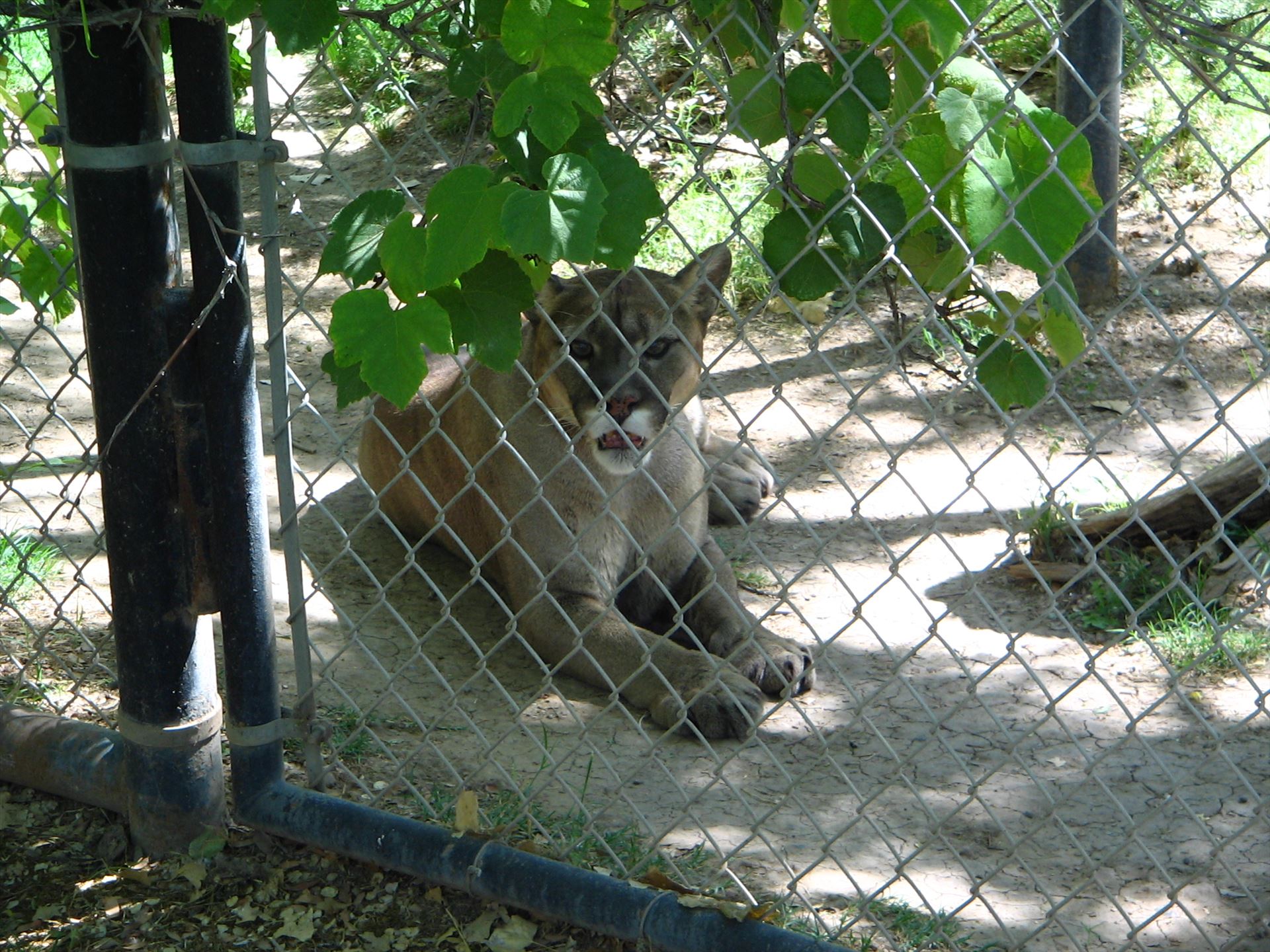 3-28-06 071.jpg  by Terry Kelly Photography