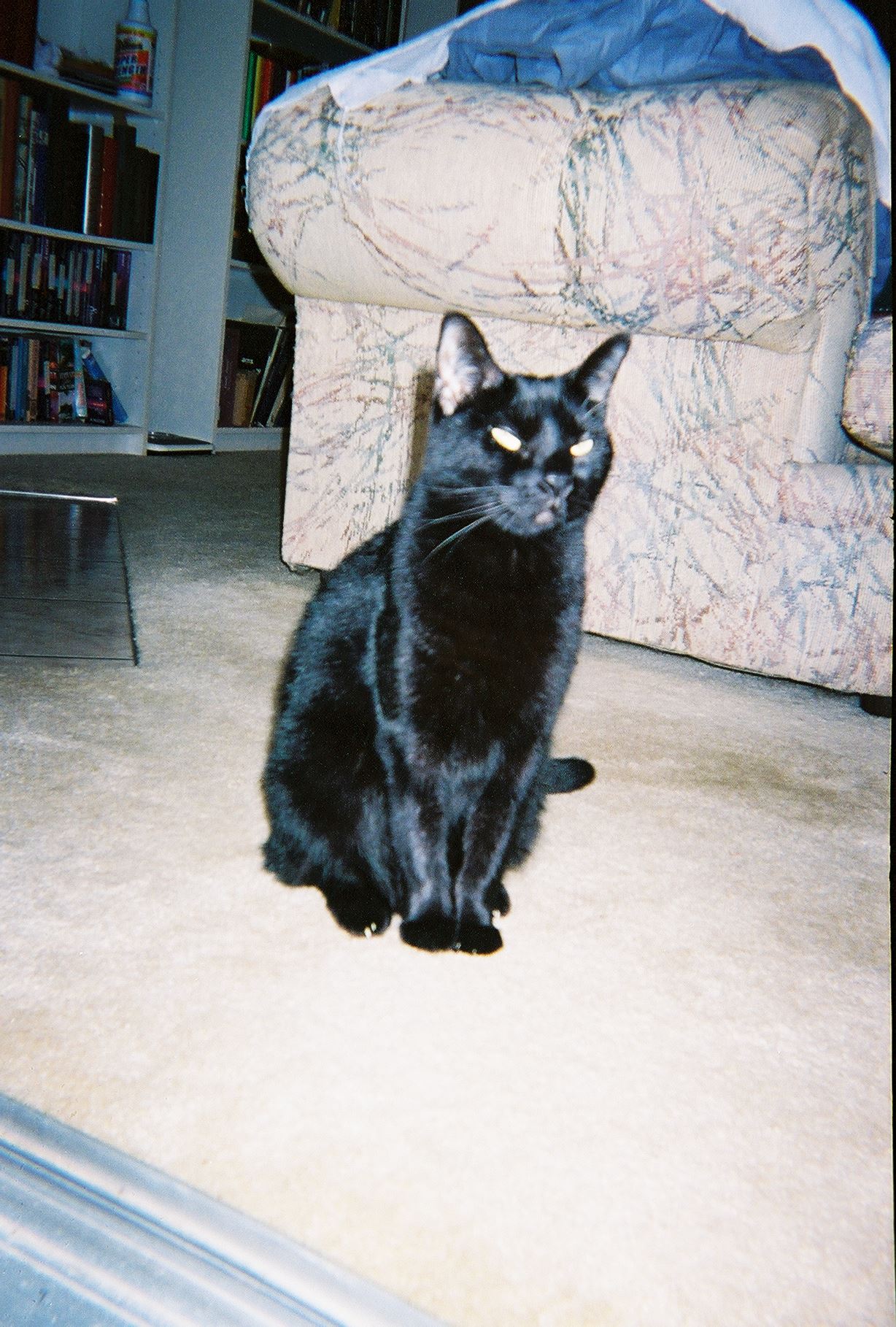 967703-R1-0A.jpg  by Terry Kelly Photography