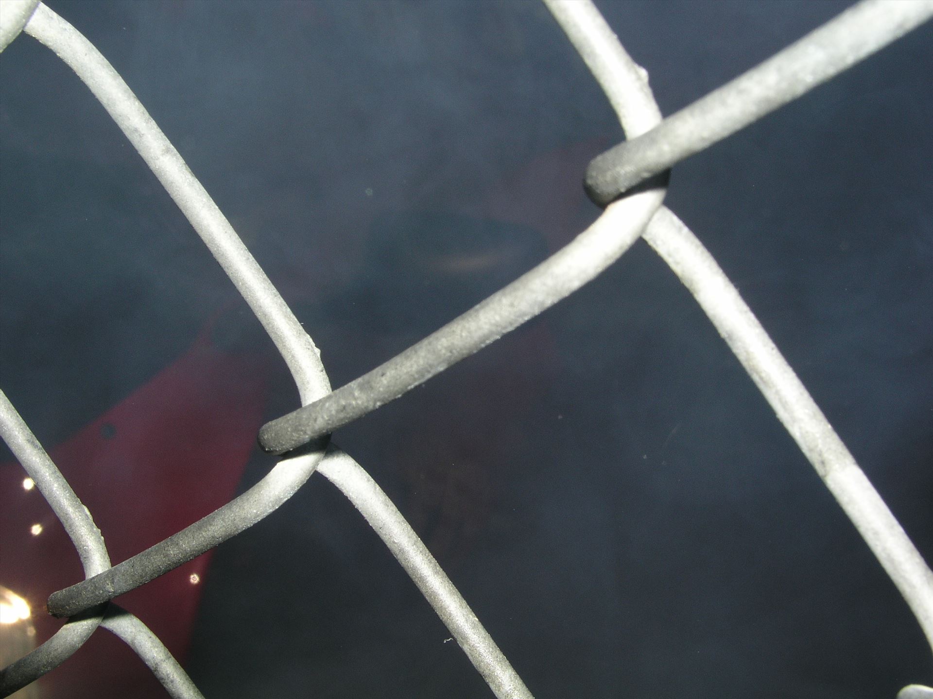 OLYMPUS DIGITAL CAMERA          OLYMPUS DIGITAL CAMERA          by Terry Kelly Photography