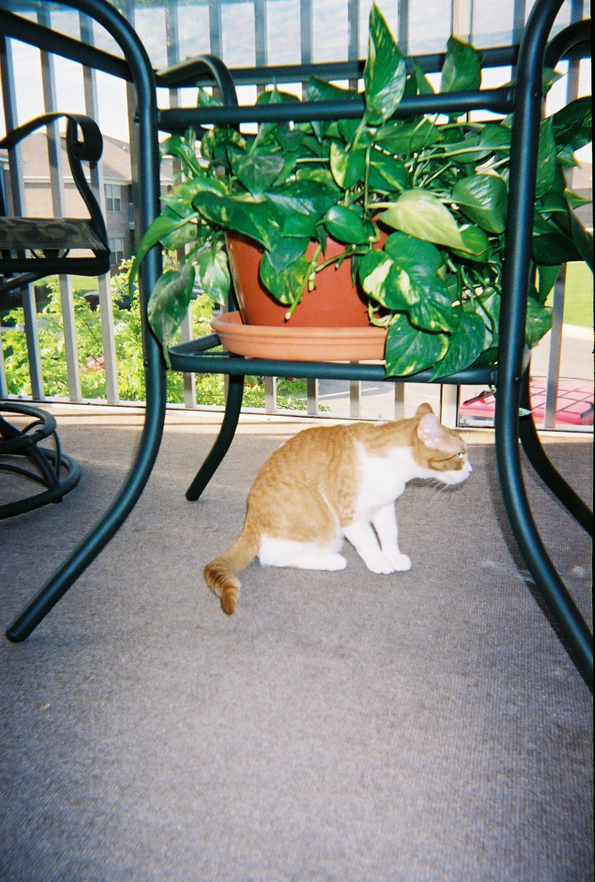 967703-R1-8A.jpg  by Terry Kelly Photography