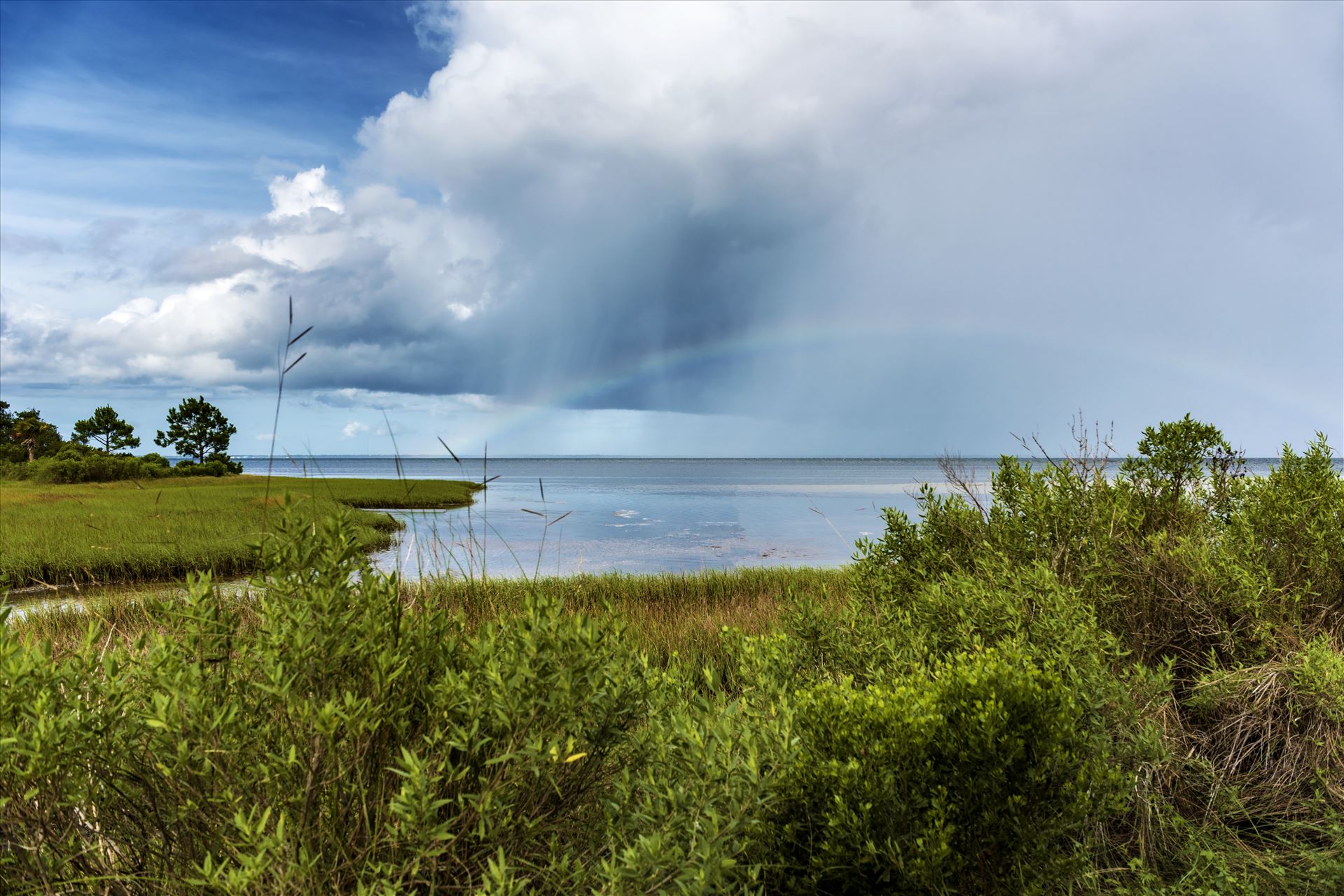 rainbow storm clouds rain st. joe bay at st. joe state park florida ss al sf RAW_5097.jpg  by Terry Kelly Photography