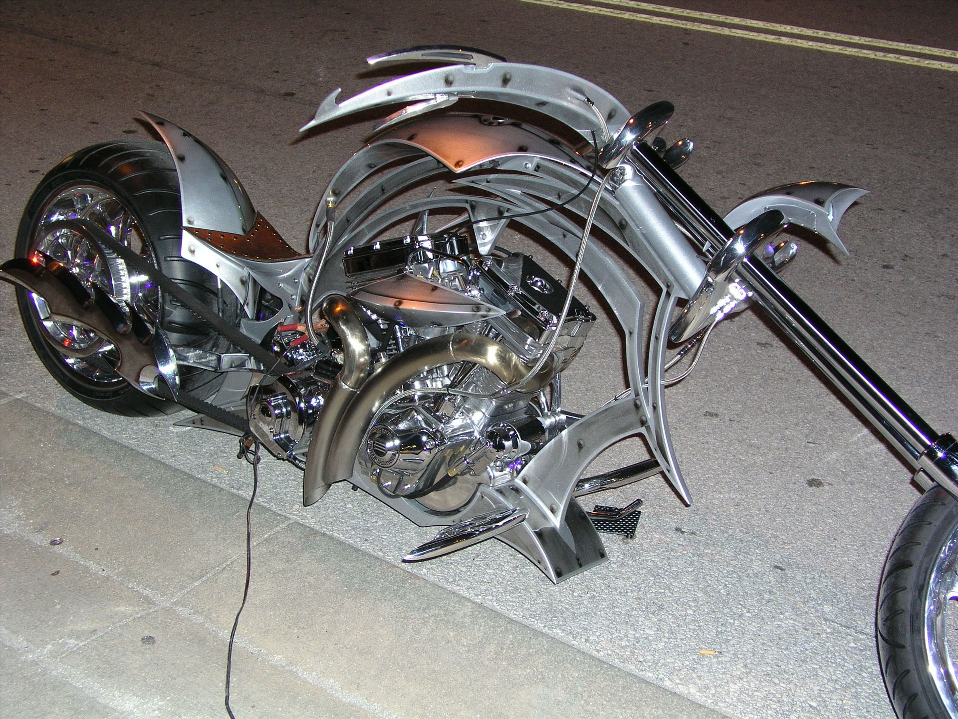 OLYMPUS DIGITAL CAMERA          OLYMPUS DIGITAL CAMERA          by Terry Kelly Photography