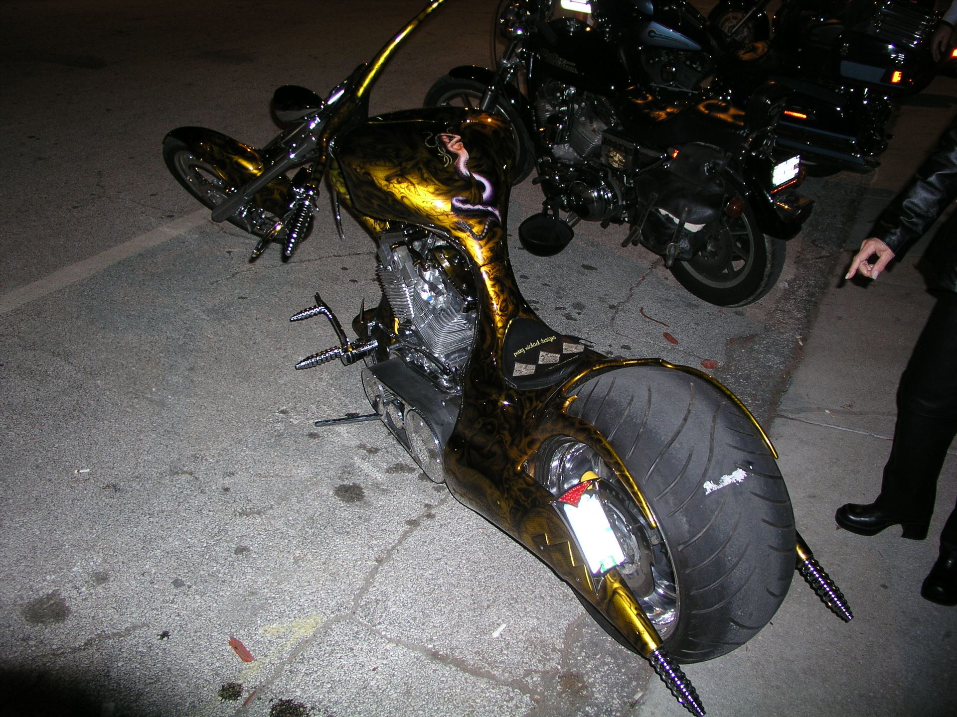 OLYMPUS DIGITAL CAMERA          OLYMPUS DIGITAL CAMERA          by Terry Kelly Photography