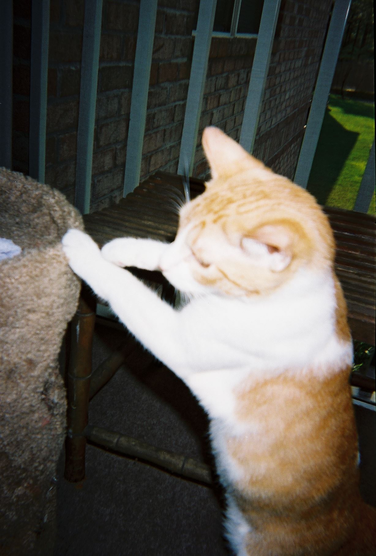 967703-R1-00A.jpg  by Terry Kelly Photography