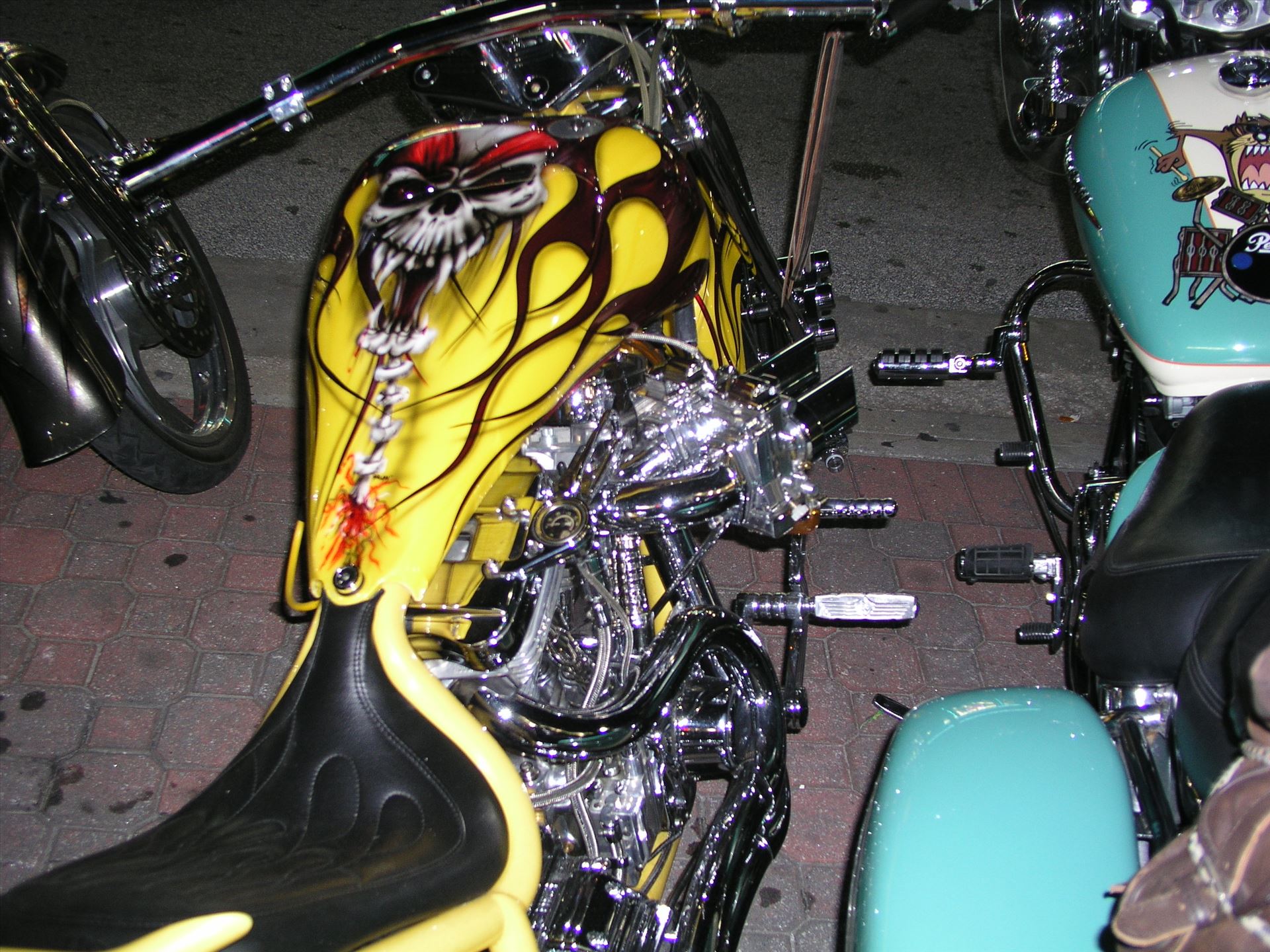 OLYMPUS DIGITAL CAMERA          OLYMPUS DIGITAL CAMERA          by Terry Kelly Photography