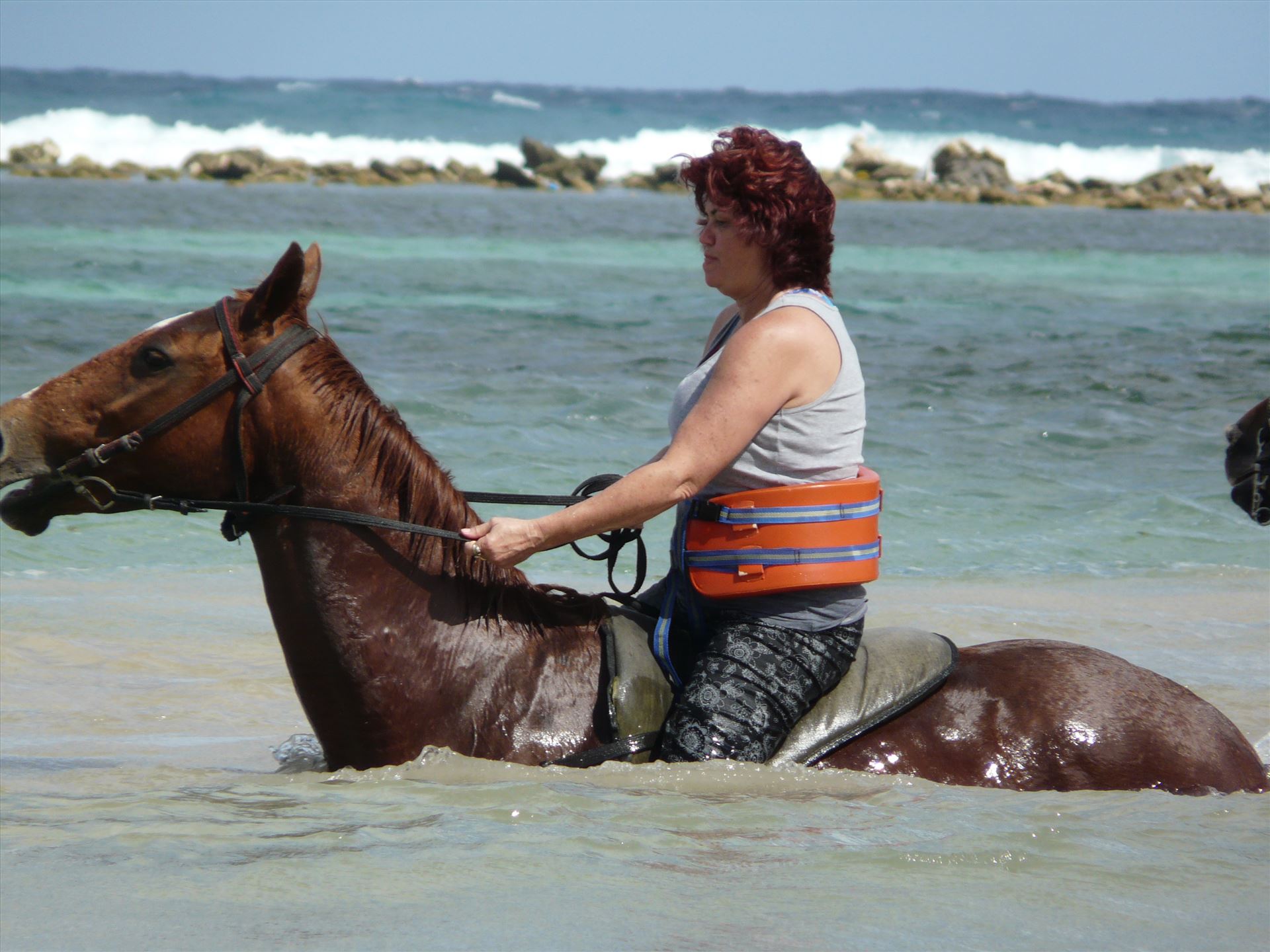 P1580017.JPG  by Terry Kelly Photography