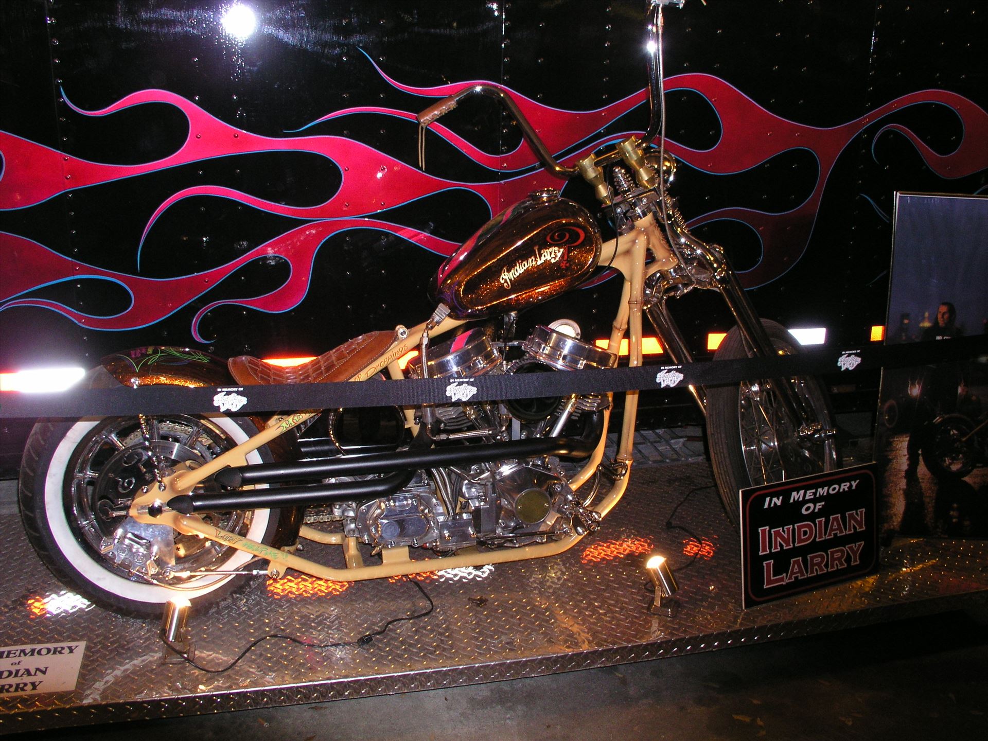 OLYMPUS DIGITAL CAMERA          OLYMPUS DIGITAL CAMERA          by Terry Kelly Photography