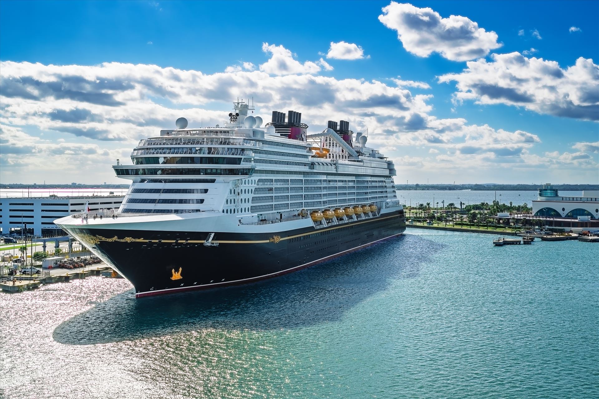 Disney Wish_0060-1.jpg  by Terry Kelly Photography