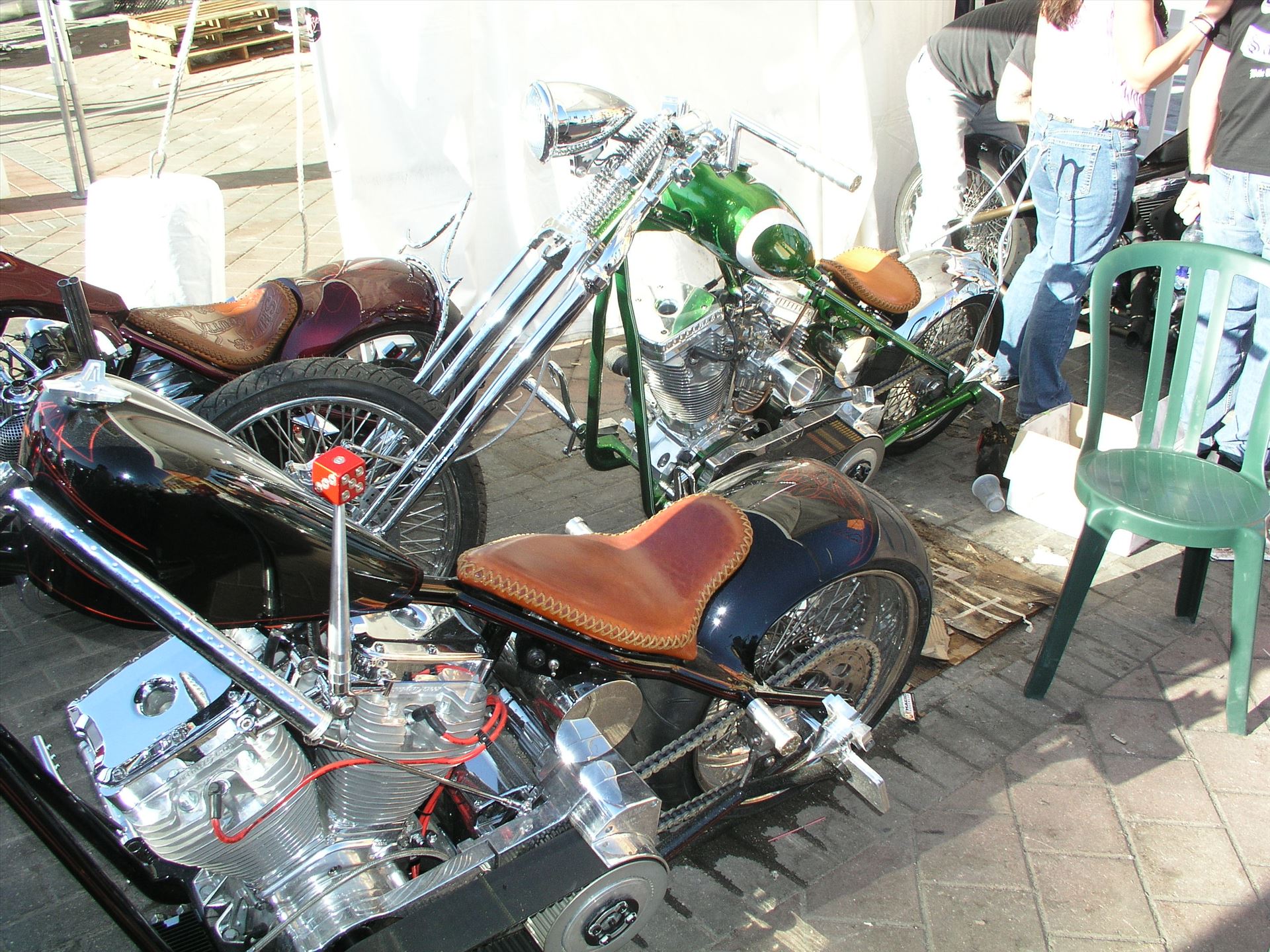 OLYMPUS DIGITAL CAMERA          OLYMPUS DIGITAL CAMERA          by Terry Kelly Photography