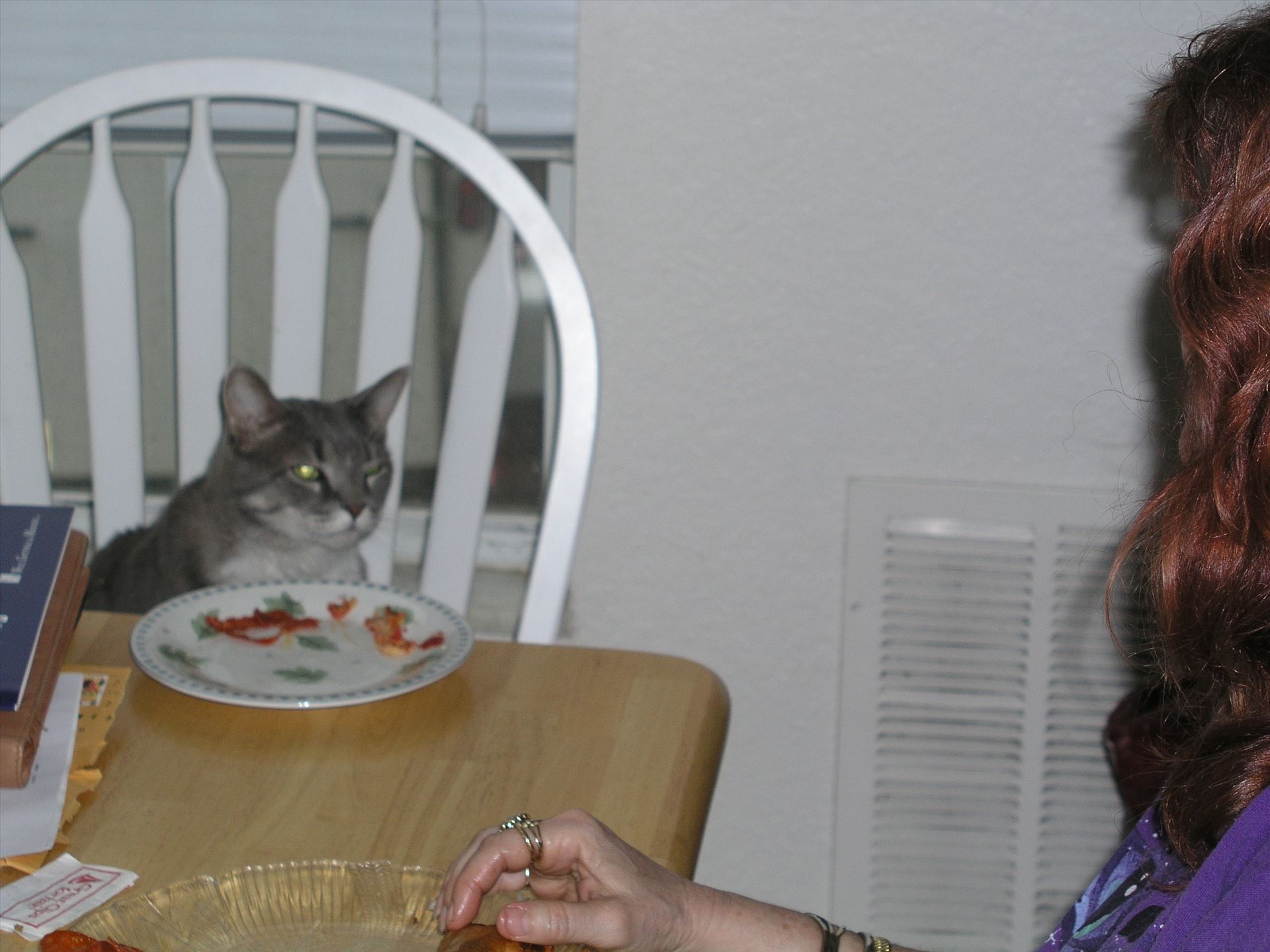 OLYMPUS DIGITAL CAMERA          OLYMPUS DIGITAL CAMERA          by Terry Kelly Photography