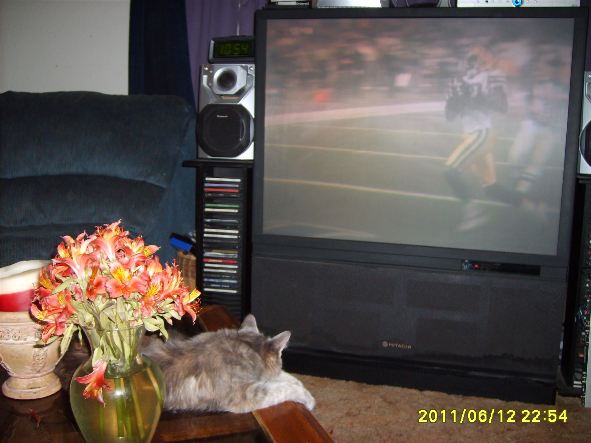 Gabby watching football.JPG  by Terry Kelly Photography