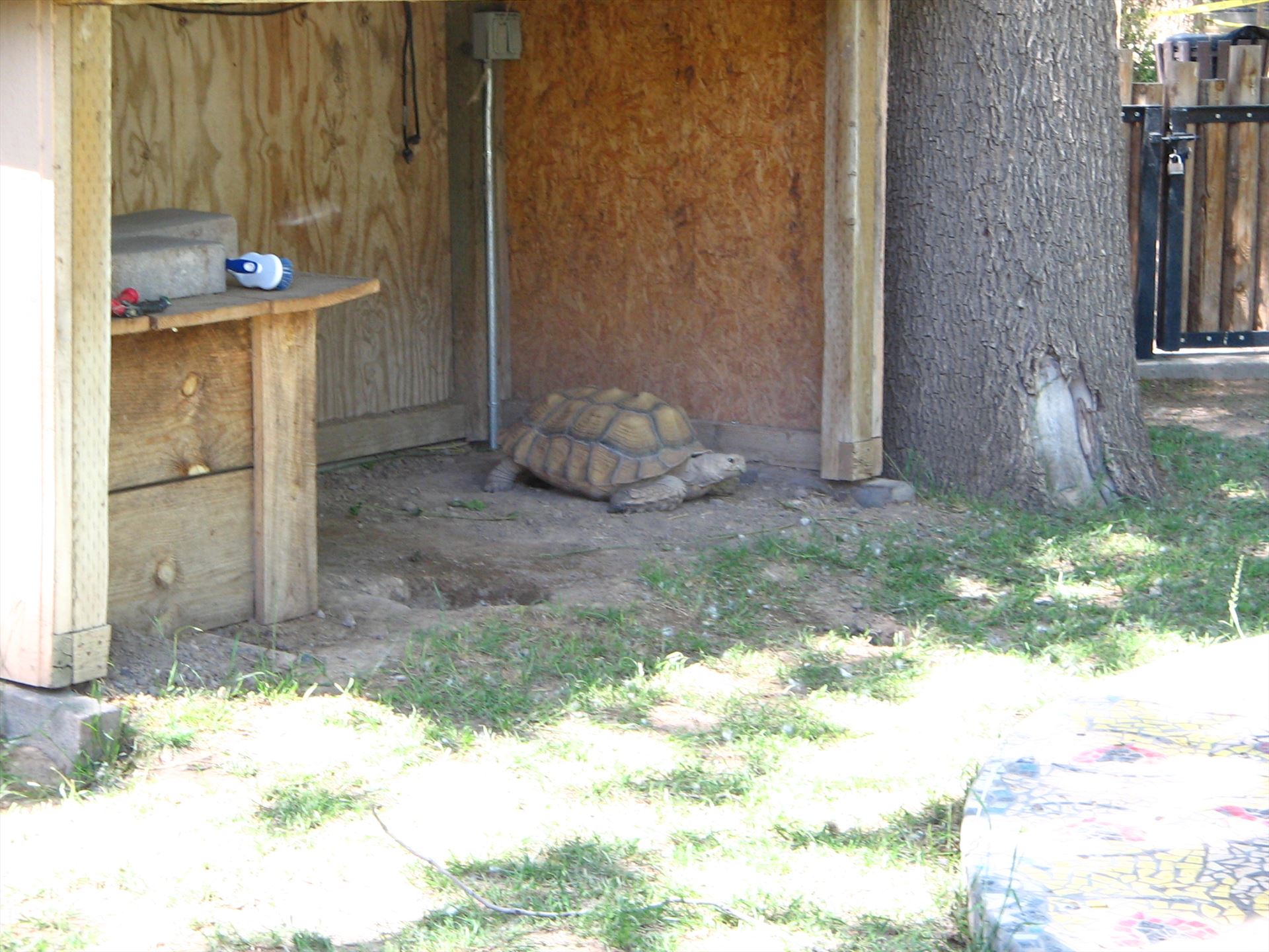 3-28-06 068.jpg  by Terry Kelly Photography