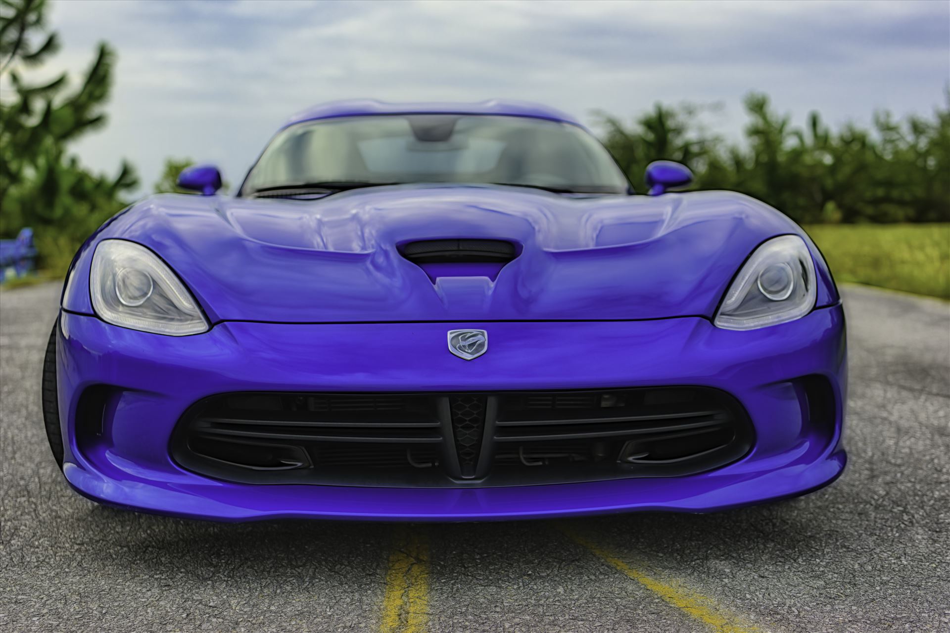 viper 5098.jpg  by Terry Kelly Photography