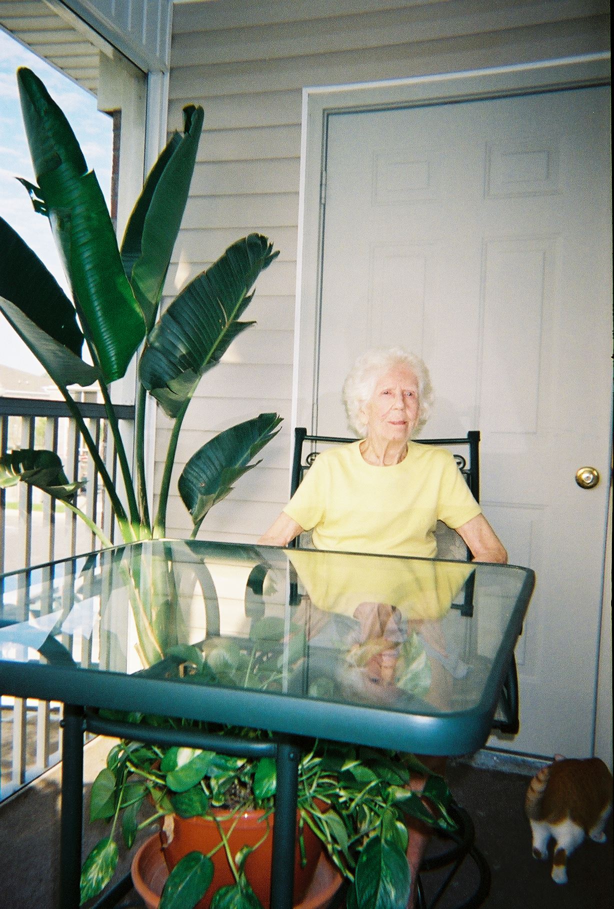 967703-R1-4A.jpg  by Terry Kelly Photography