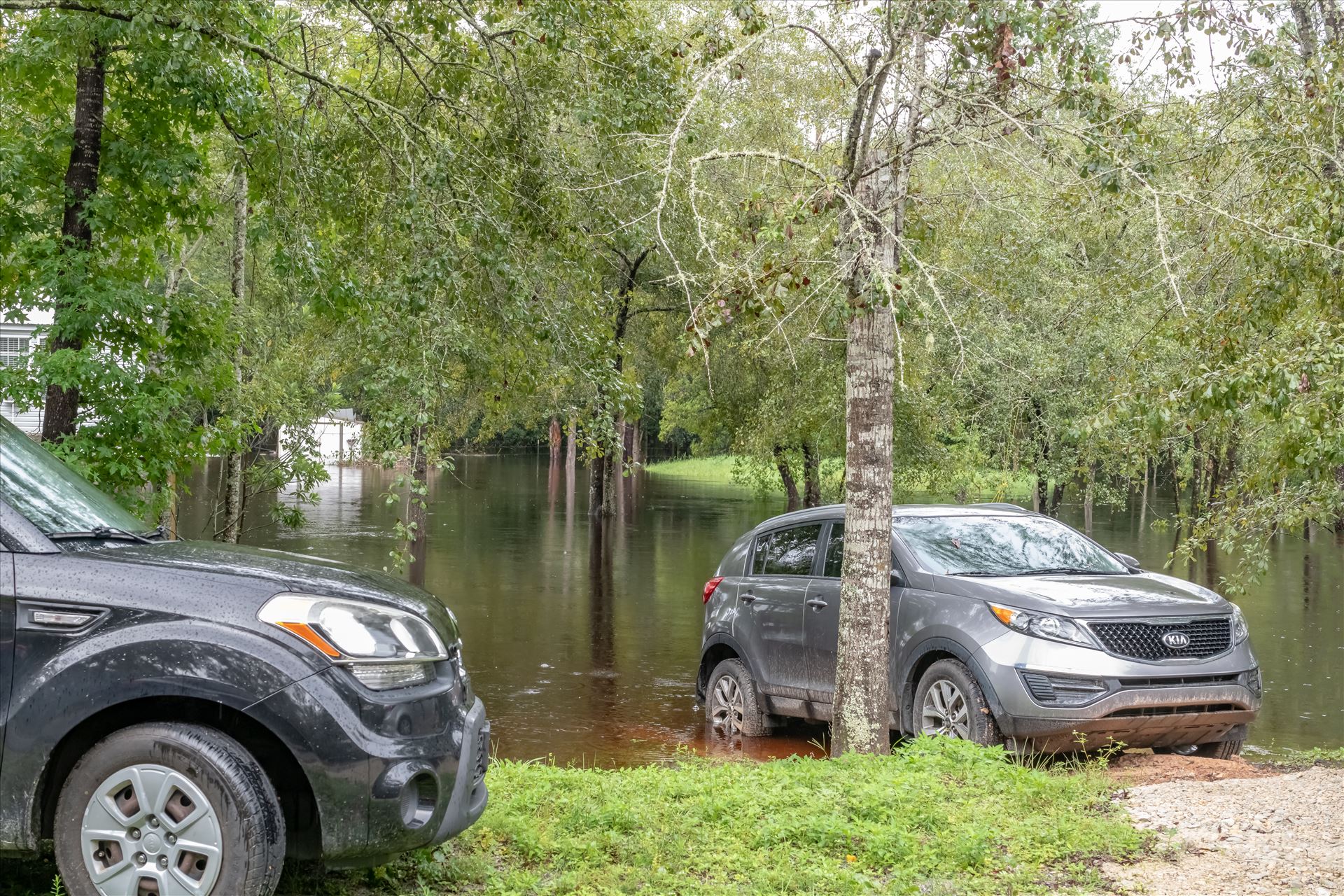 bear creek out of bank 8 August 02, 2018.jpg August 02, 2018 heavy rains flooded many parts of Bay County, Florida. This photo is in the Bear Creek area. by Terry Kelly Photography
