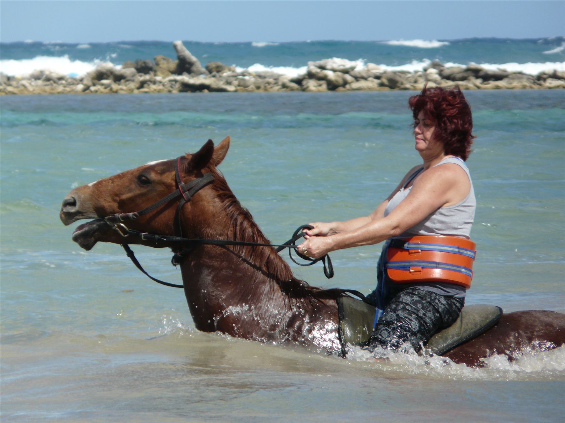 P1580018.JPG  by Terry Kelly Photography