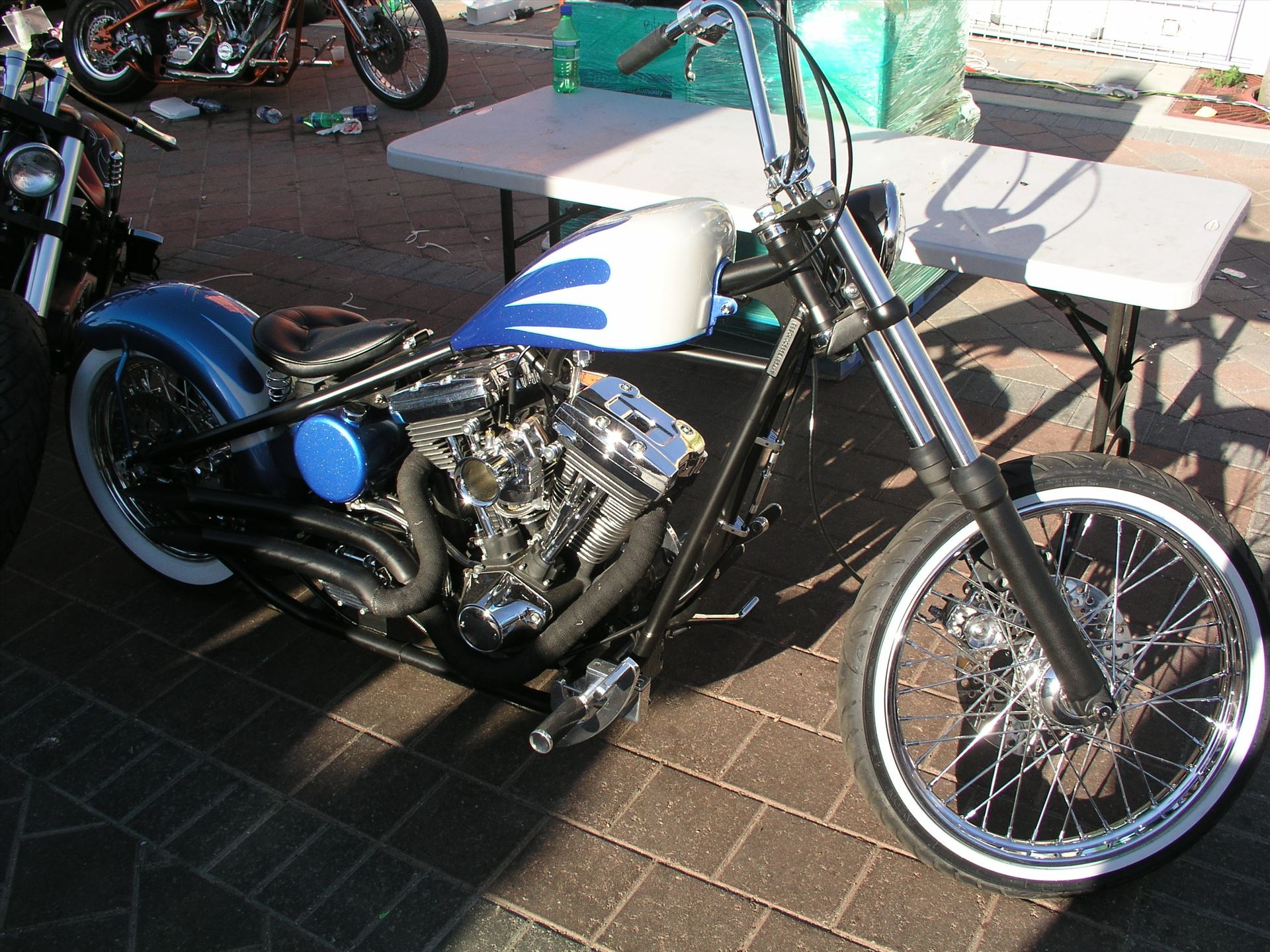 OLYMPUS DIGITAL CAMERA          OLYMPUS DIGITAL CAMERA          by Terry Kelly Photography