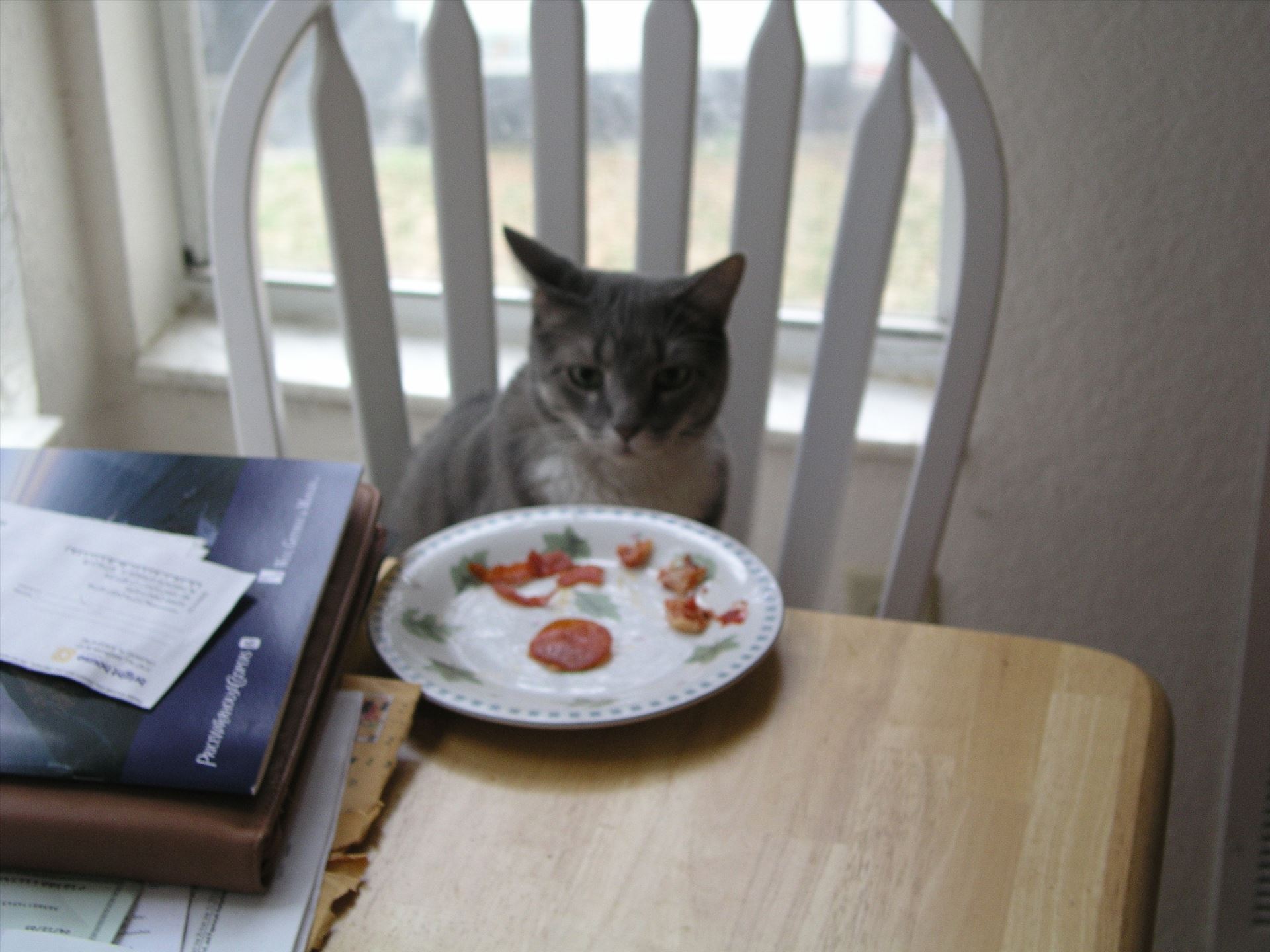 OLYMPUS DIGITAL CAMERA          OLYMPUS DIGITAL CAMERA          by Terry Kelly Photography