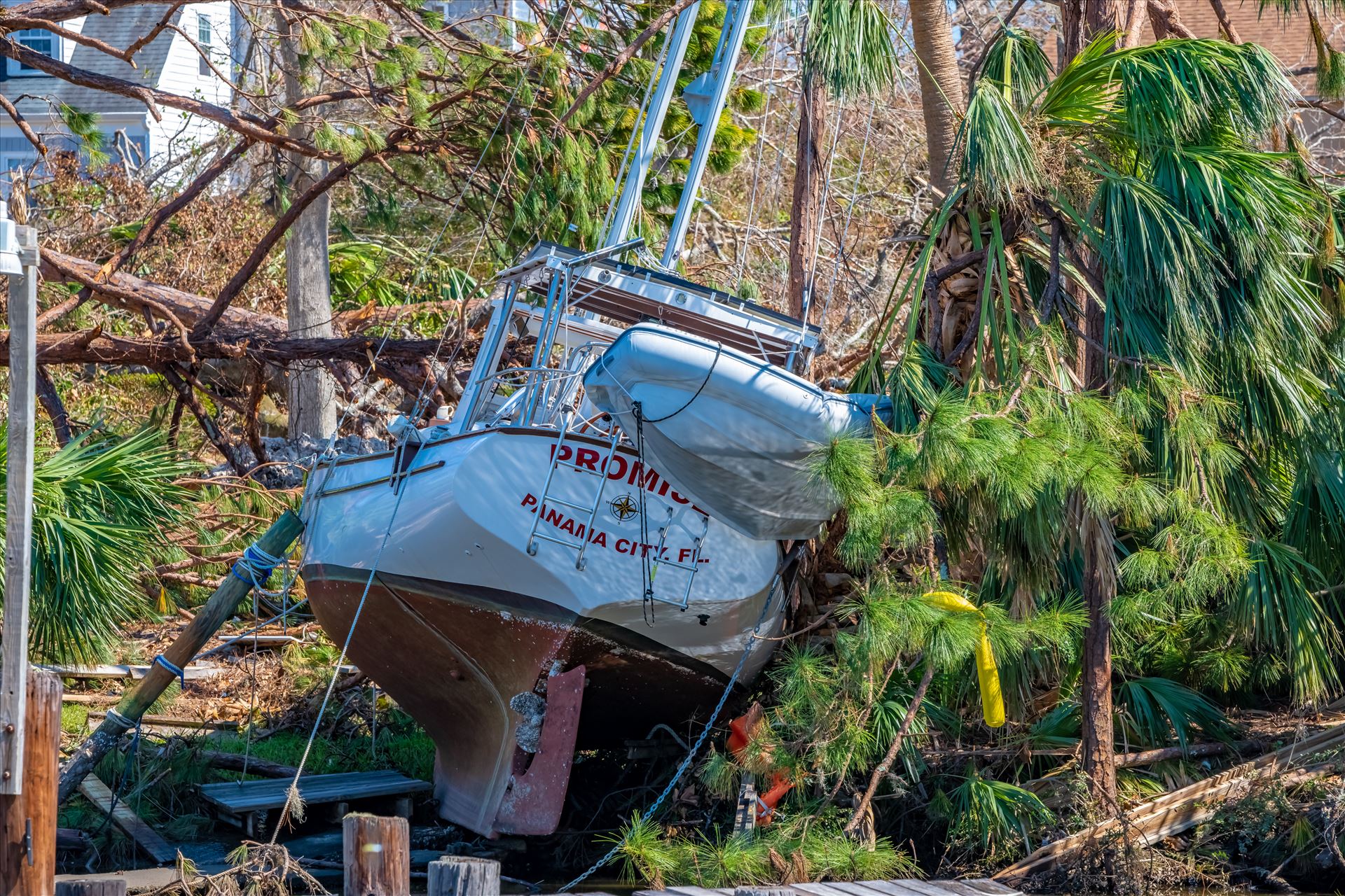 Hurricane Michael Massalina bayou, Panama City, Florida by Terry Kelly Photography