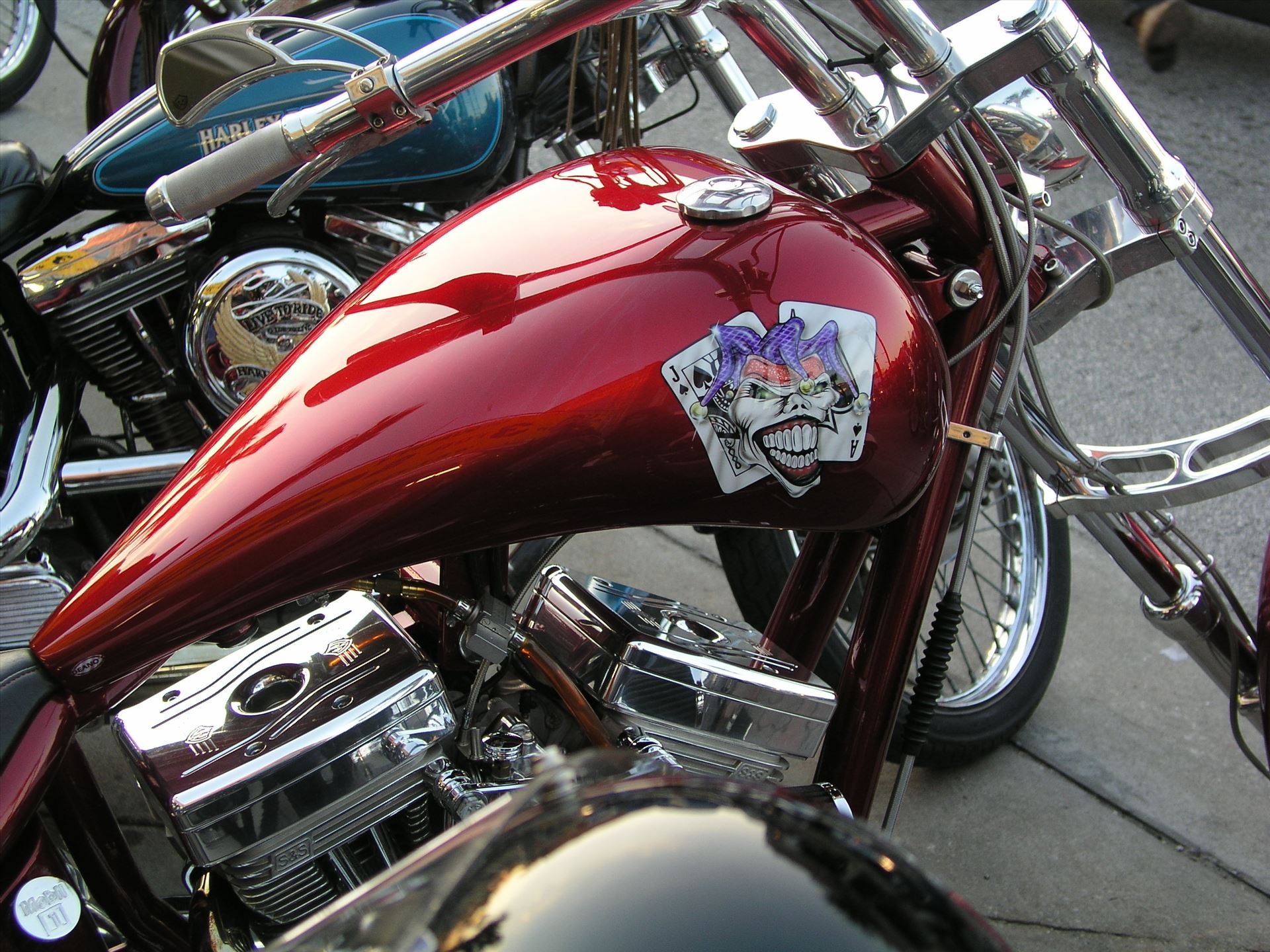 OLYMPUS DIGITAL CAMERA          OLYMPUS DIGITAL CAMERA          by Terry Kelly Photography