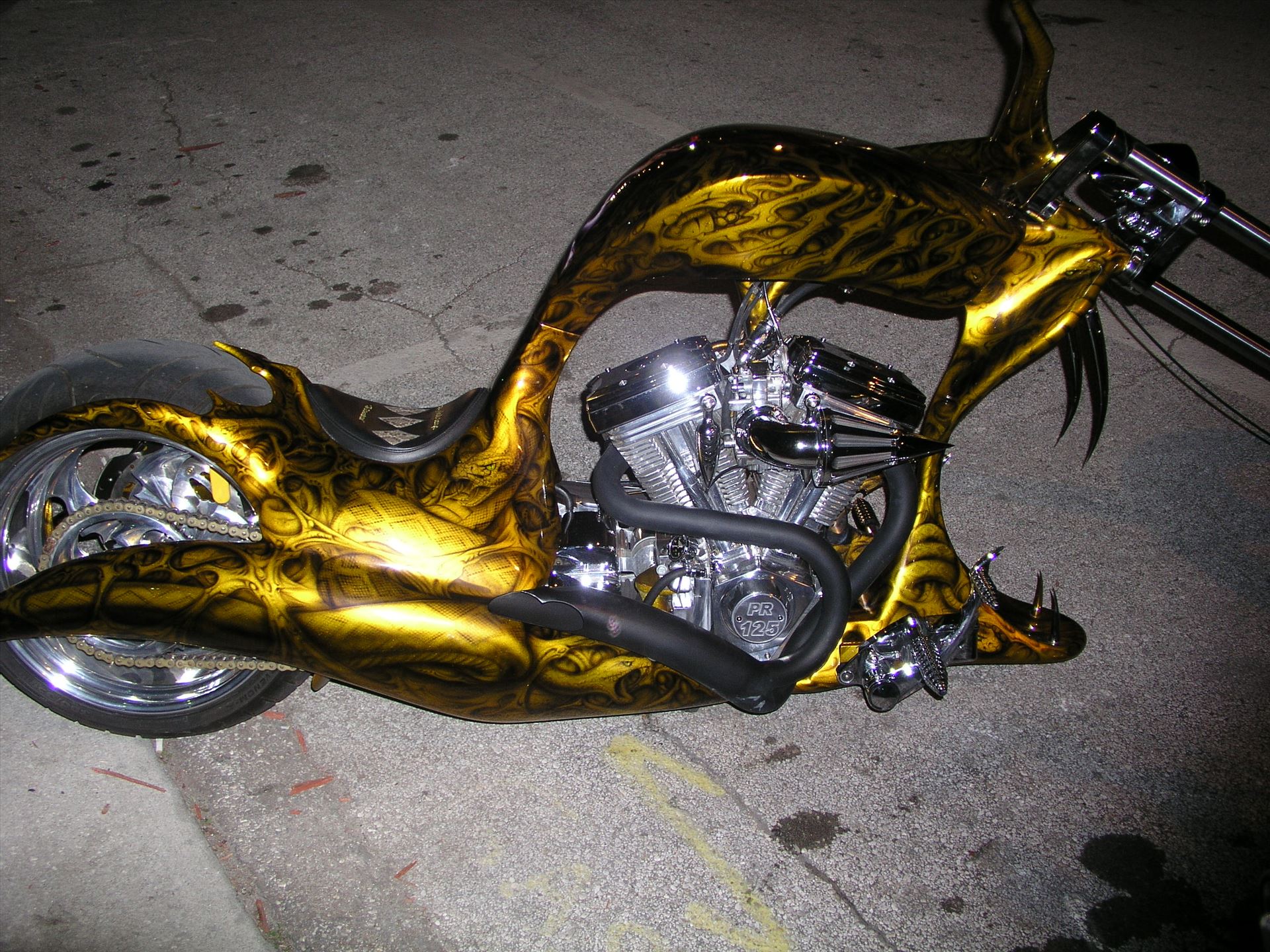 OLYMPUS DIGITAL CAMERA          OLYMPUS DIGITAL CAMERA          by Terry Kelly Photography