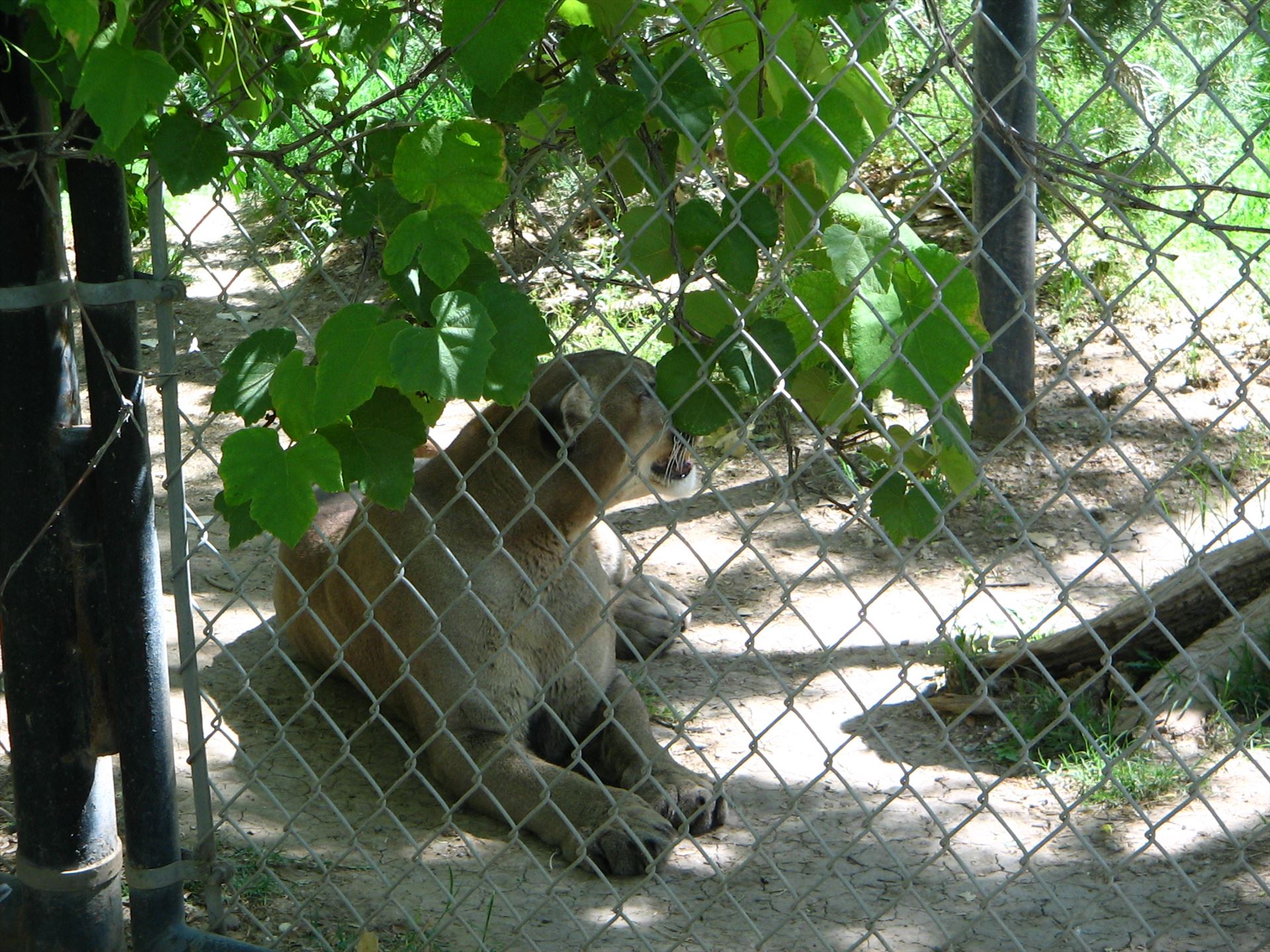 3-28-06 070.jpg  by Terry Kelly Photography