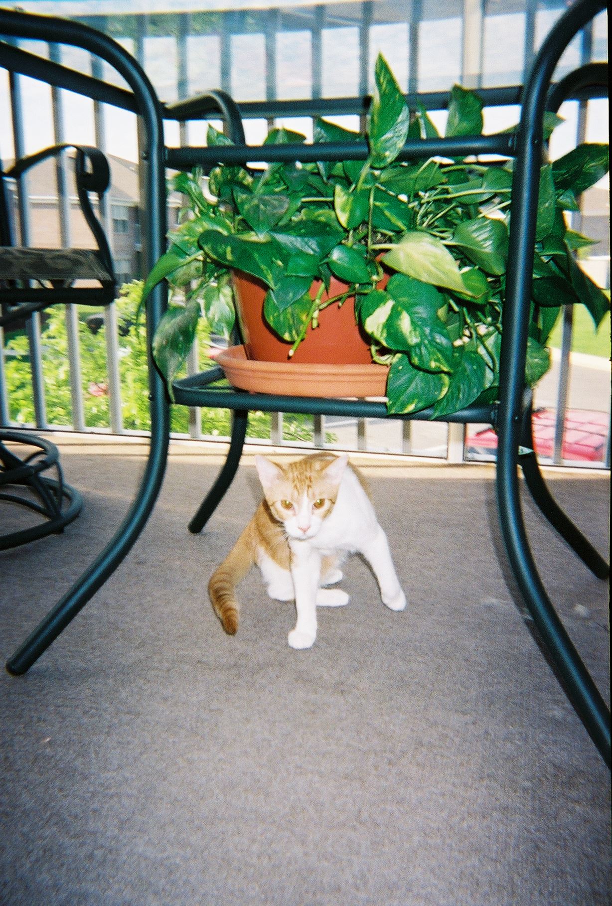 967703-R1-7A.jpg  by Terry Kelly Photography