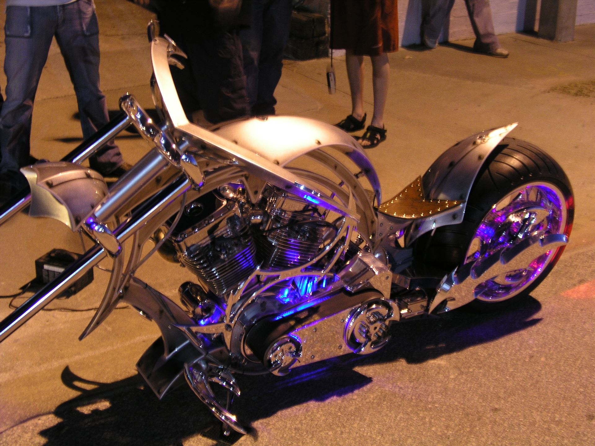 OLYMPUS DIGITAL CAMERA          OLYMPUS DIGITAL CAMERA          by Terry Kelly Photography