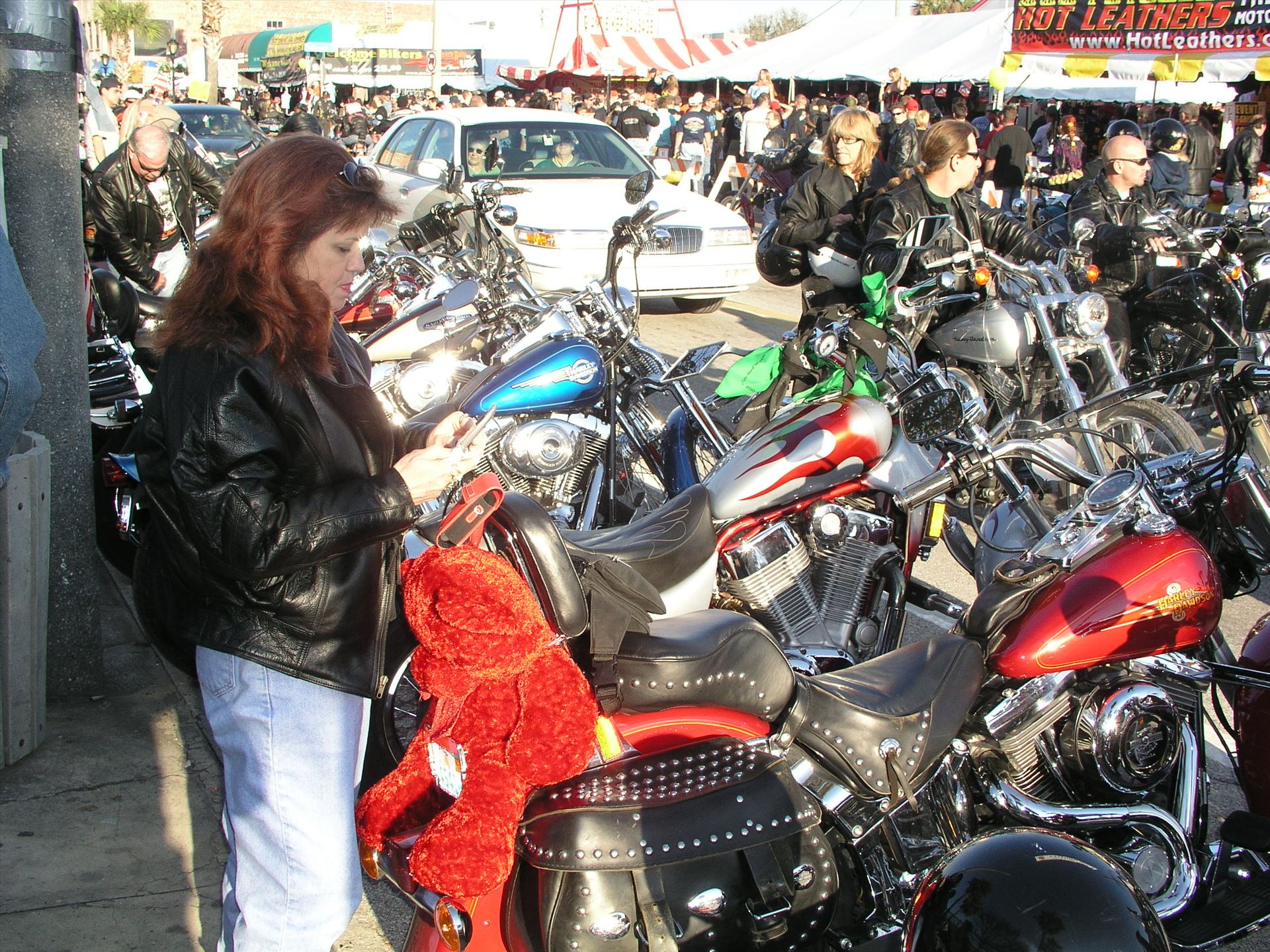 OLYMPUS DIGITAL CAMERA          OLYMPUS DIGITAL CAMERA          by Terry Kelly Photography