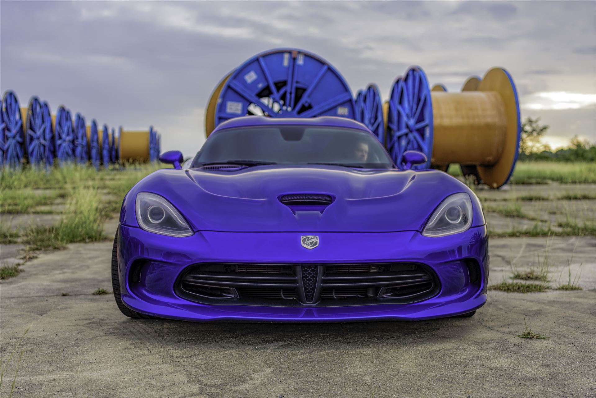 Viper 5241.jpg  by Terry Kelly Photography