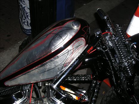 OLYMPUS DIGITAL CAMERA          by Terry Kelly Photography