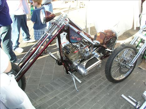 OLYMPUS DIGITAL CAMERA          by Terry Kelly Photography