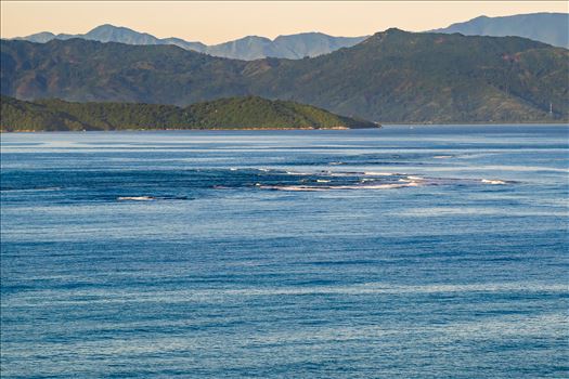 haiti Adventure of the Seas_10192025_0209.jpg by Terry Kelly Photography