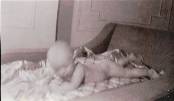 1101.JPG by Terry Kelly Photography