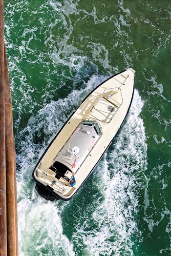 Pilot boat adventure of the seas_0143.jpg by Terry Kelly Photography