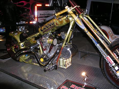 OLYMPUS DIGITAL CAMERA          by Terry Kelly Photography