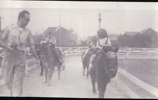 260.JPG by Terry Kelly Photography