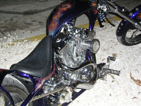 OLYMPUS DIGITAL CAMERA          by Terry Kelly Photography