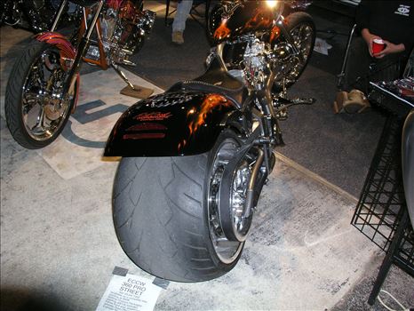 OLYMPUS DIGITAL CAMERA          by Terry Kelly Photography