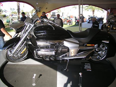 OLYMPUS DIGITAL CAMERA          by Terry Kelly Photography