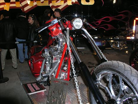 OLYMPUS DIGITAL CAMERA          by Terry Kelly Photography